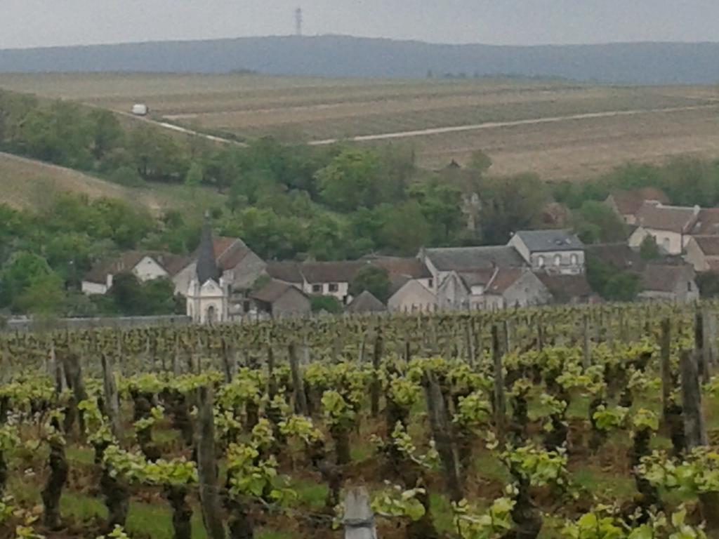 Le Clos Saint Martin Hotel Sancerre Esterno foto