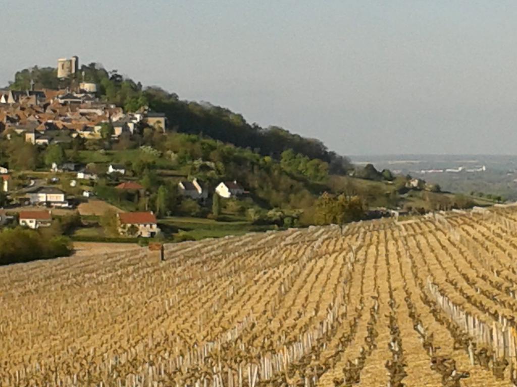 Le Clos Saint Martin Hotel Sancerre Esterno foto